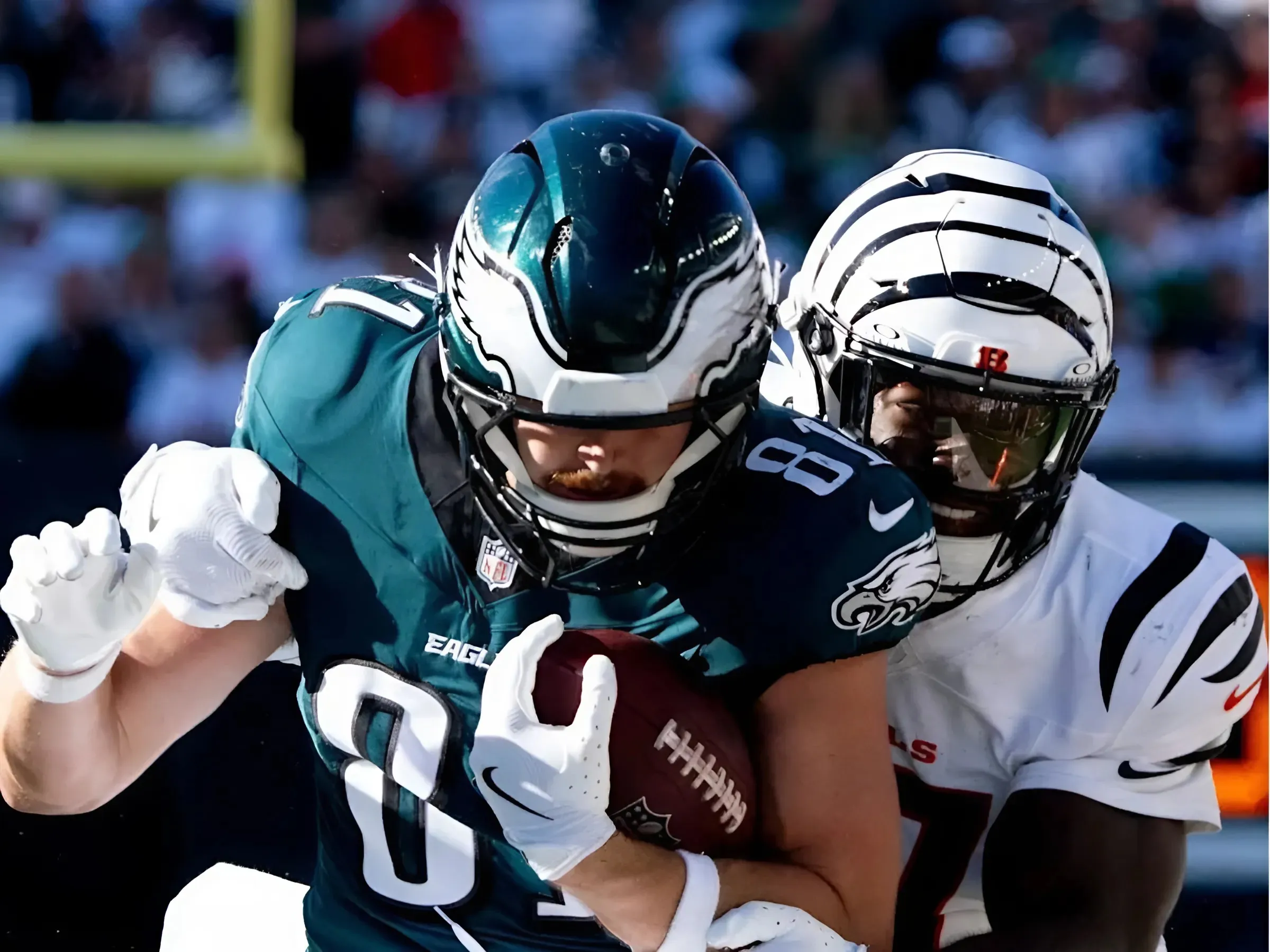 Eagles Backup Tight End Has Risen To Occasion Without Dallas Goedert