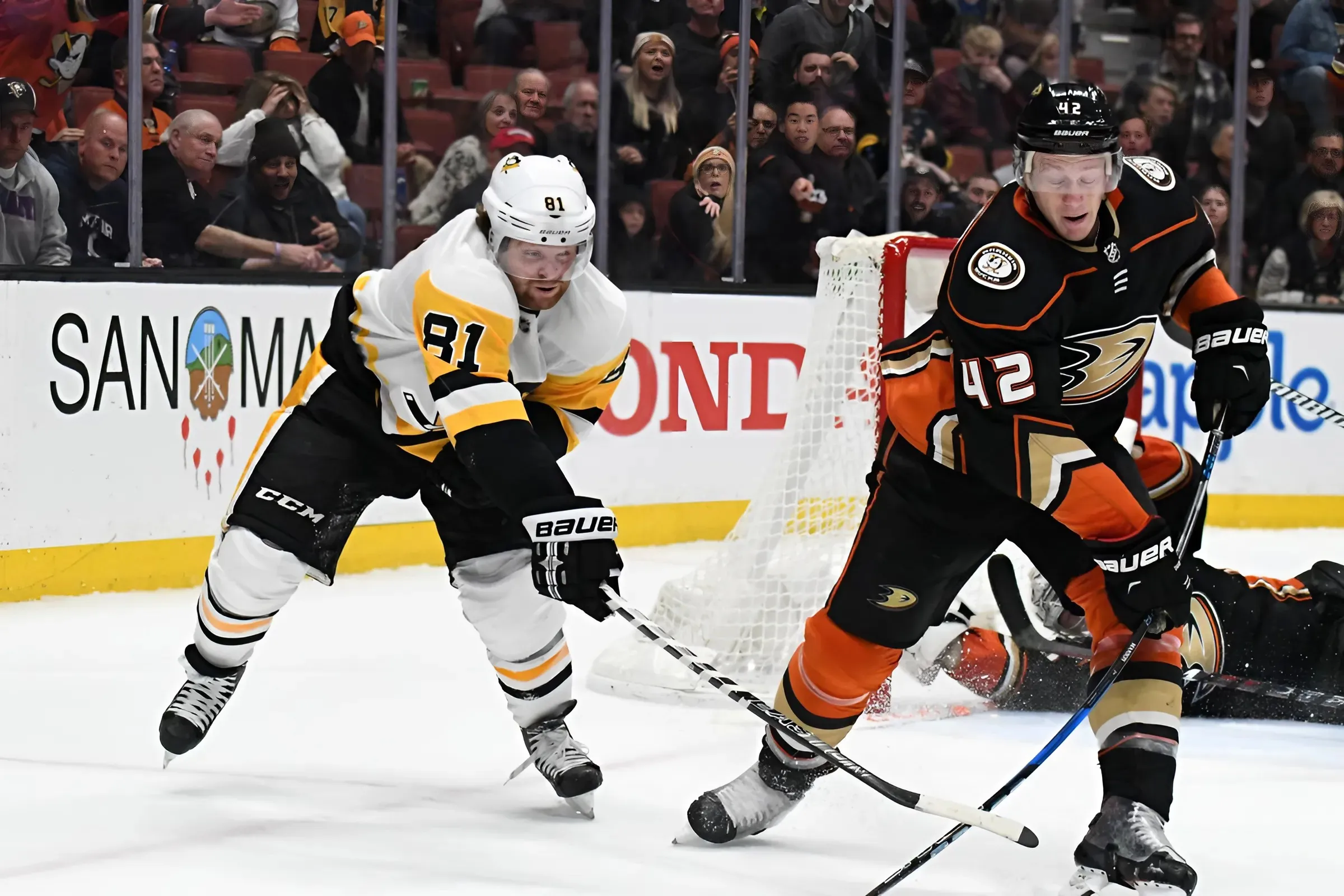 Anaheim Ducks vs. Pittsburgh Penguins