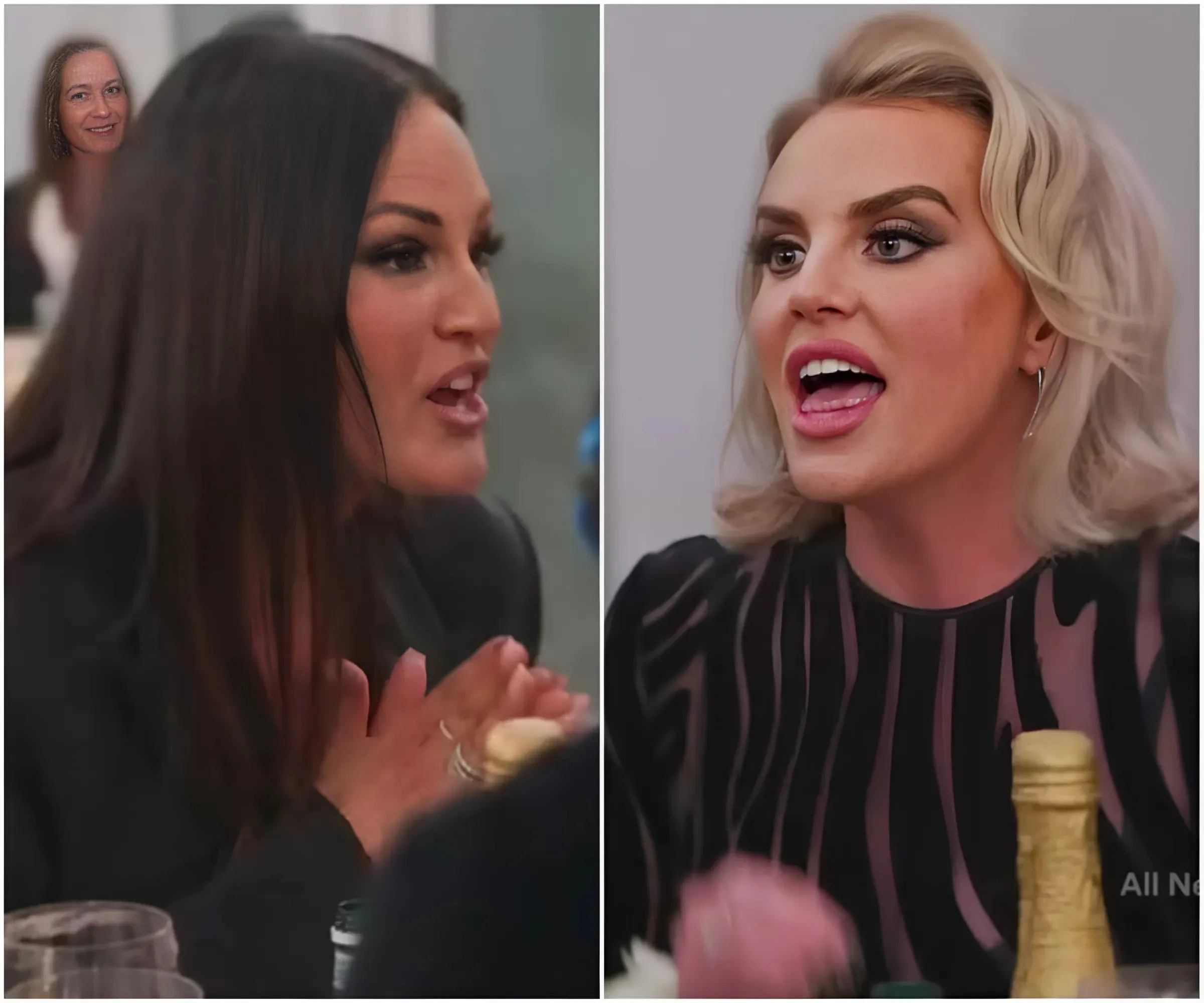 Real Housewives of Salt Lake City's ugly fight between Whitney and Lisa sparks fans debate over who's to blame - suong