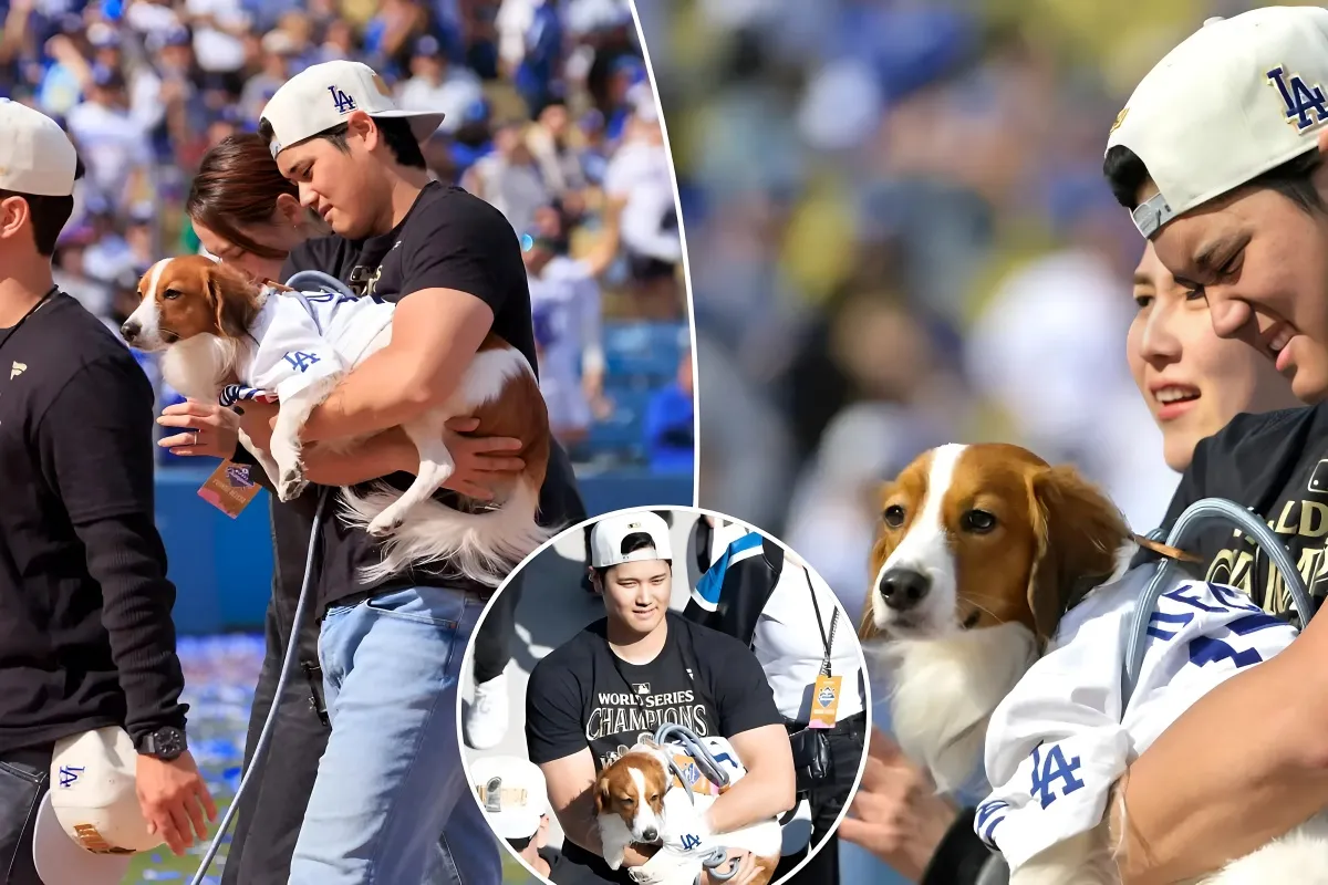 Shohei Ohtani's Beloved Pup Steals the Show at Dodgers' World Series Victory Celebration! - lulu