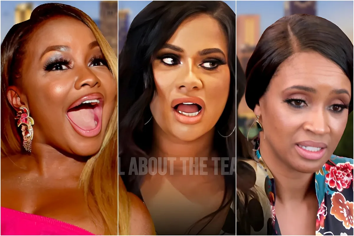 Anila Sajja and Contessa Metcalfe FIRED From ‘Married to Medicine’ Replaced By Phaedra Parks liennhi