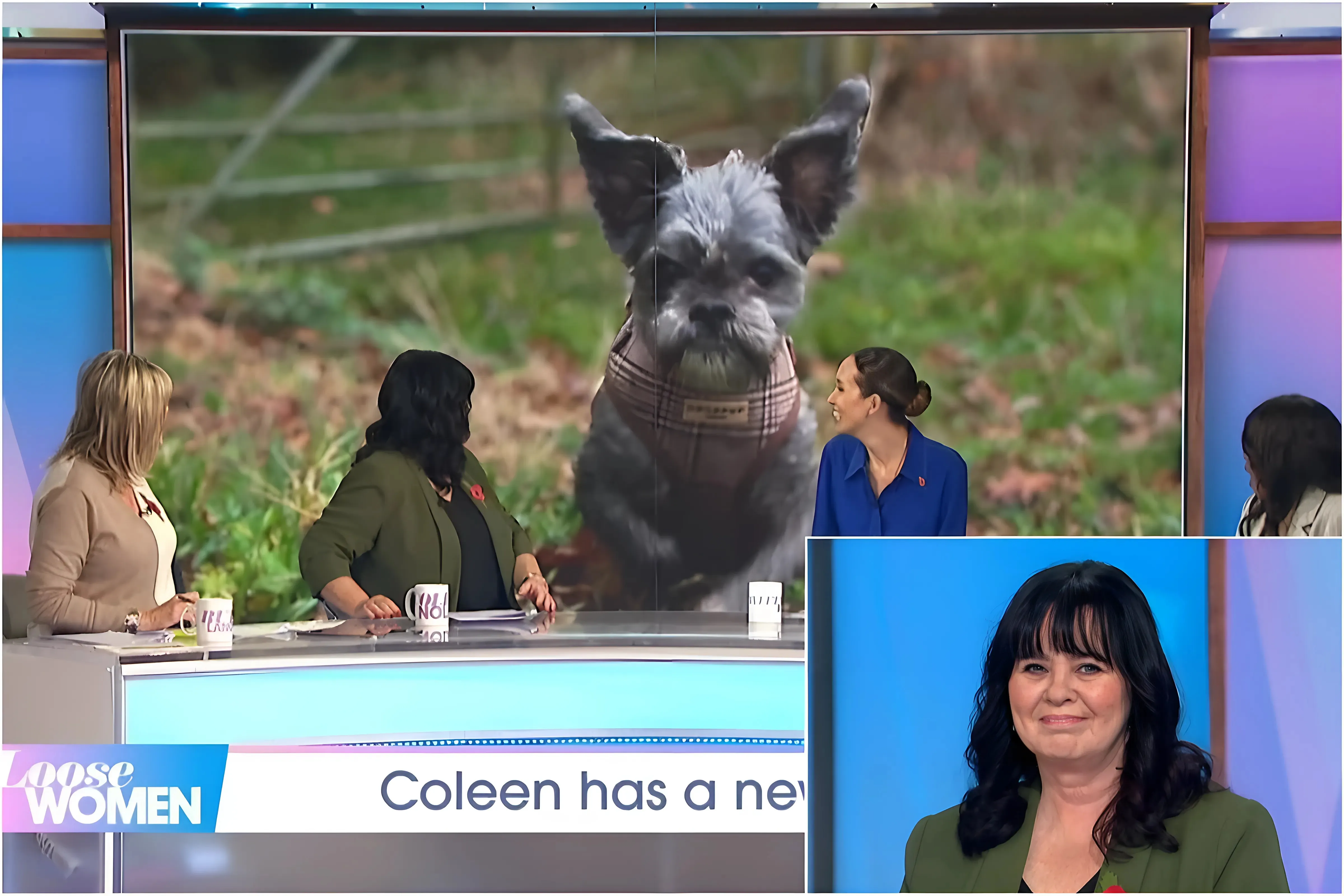 Loose Women's Coleen Nolan shares excitement as she welcomes new family member trucc