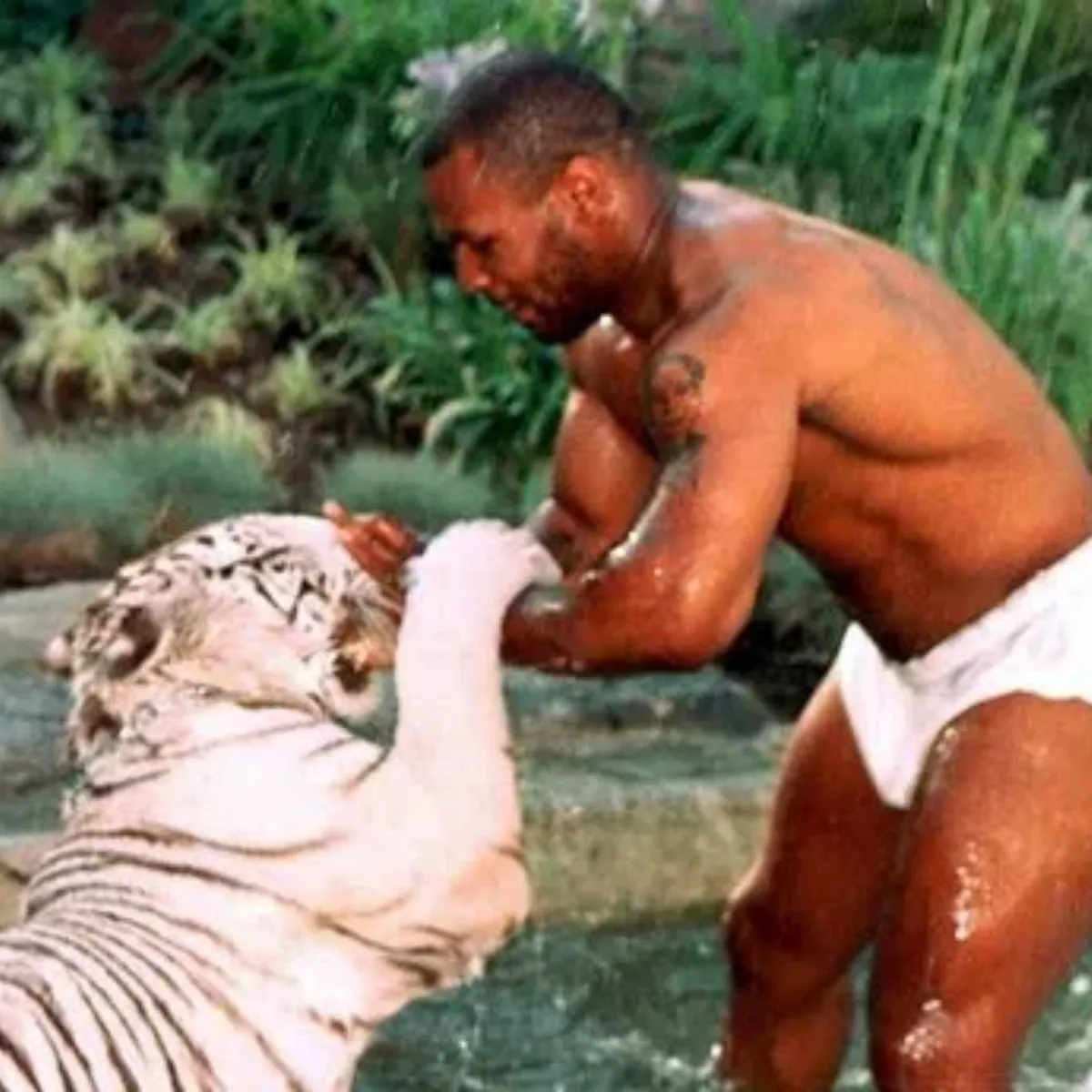 Mike Tyson was forced to sell $70,000 tiger after it bit off woman's arm