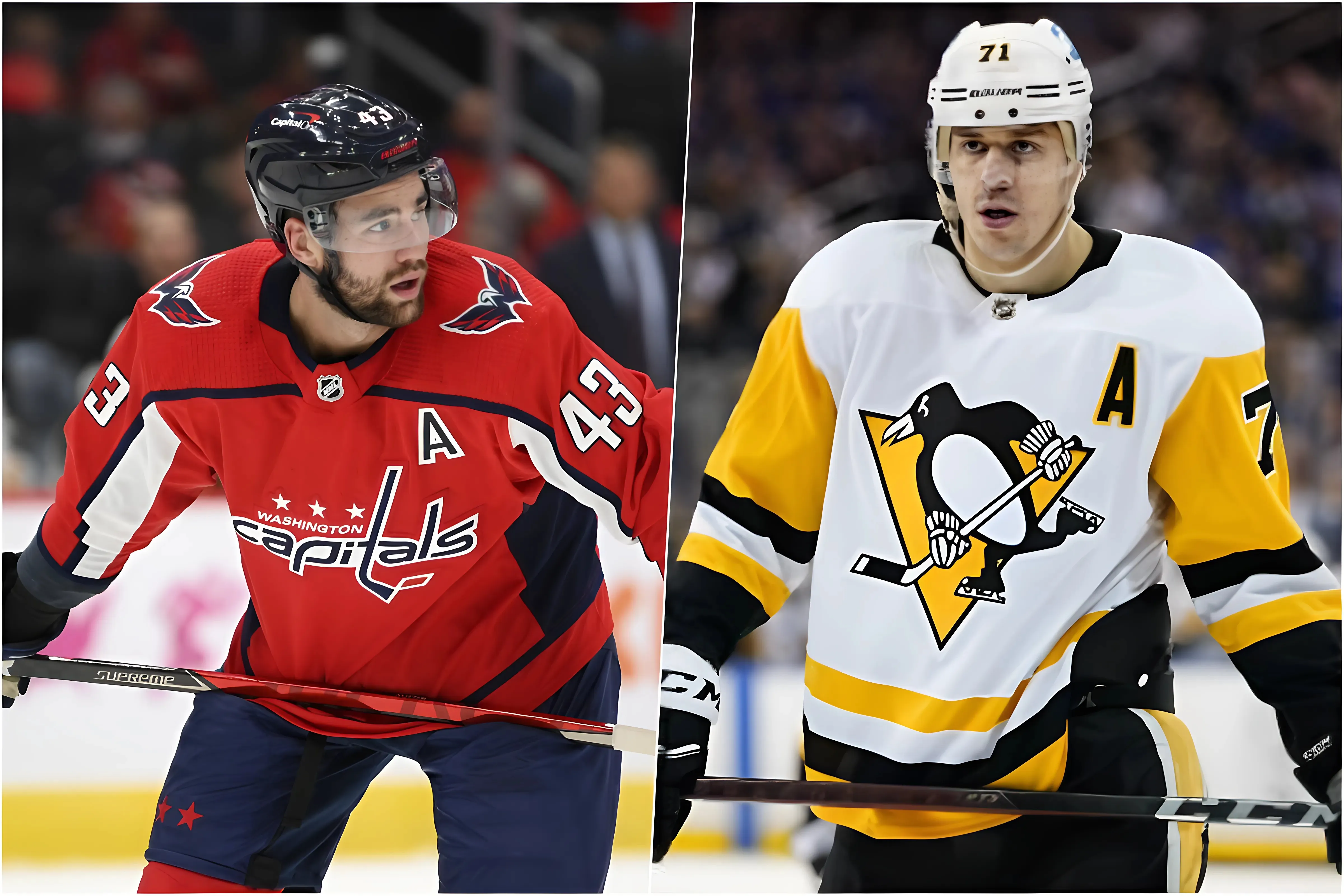 GOTTA SEE IT: Tom Wilson Has Golden Response After Being Punched By Evgeni Malkin trucc