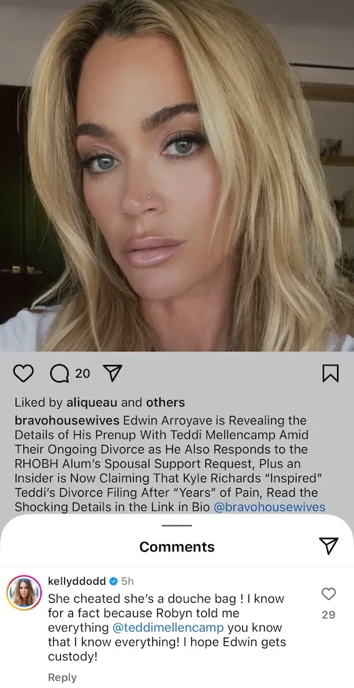 Explosive Allegation: Kelly Dodd Accuses Teddi Mellencamp of Infidelity, Reveals Startling Details