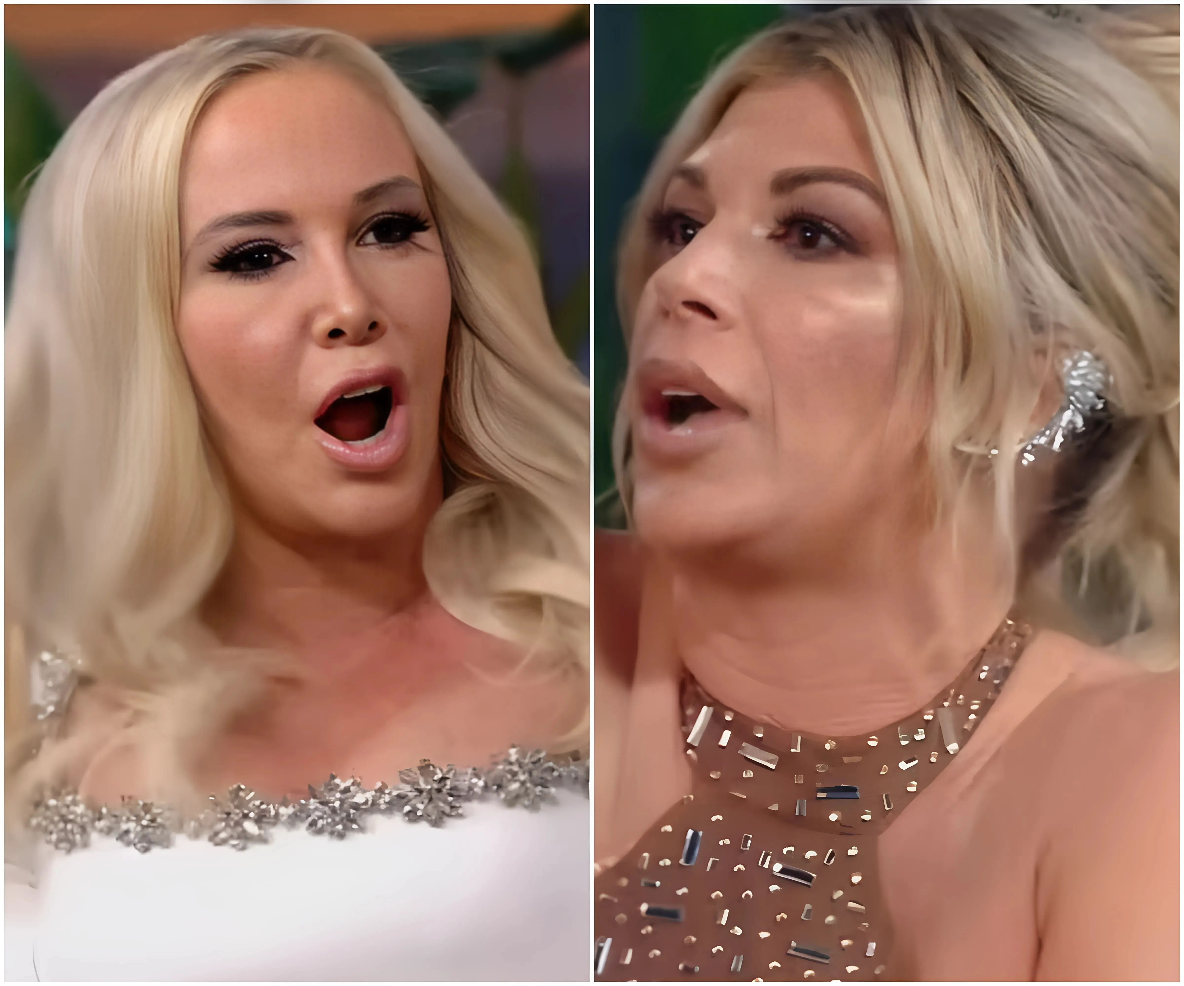 RHOC fans rally around Shannon Beador for her brutal takedown of Alexis Bellino on the Reunion Part 2 - suong