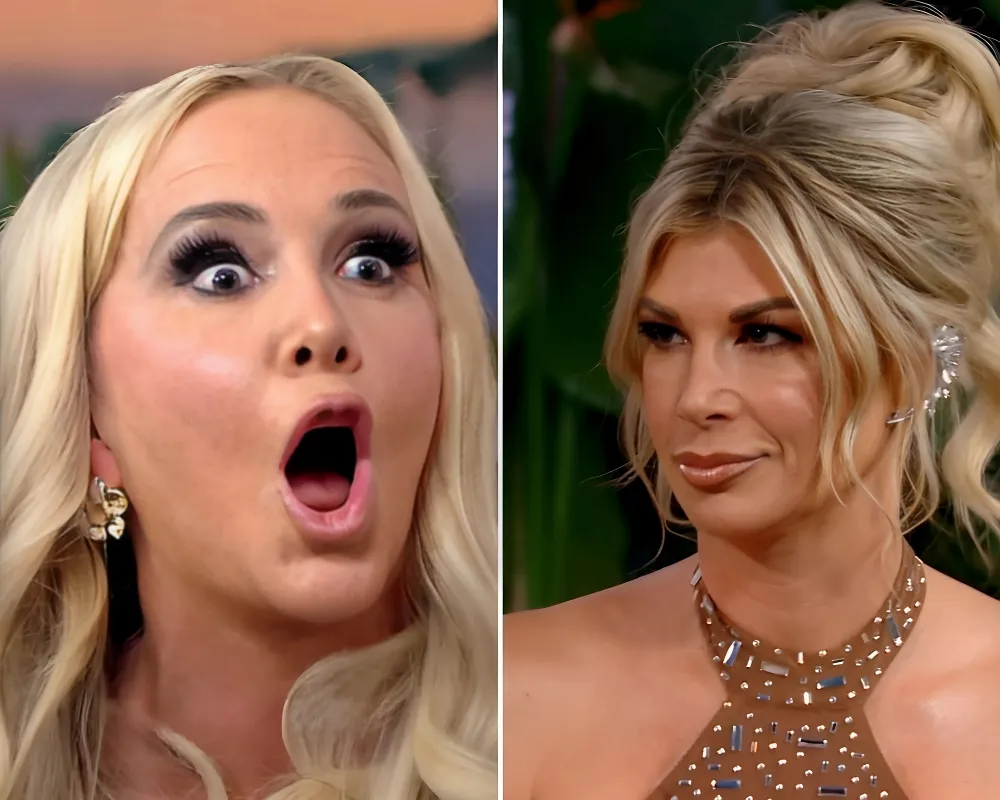 RHOC: Shannon Beador Slams Alexis Bellino for 'Being John’s Mouthpiece' During Reunion Screaming Match