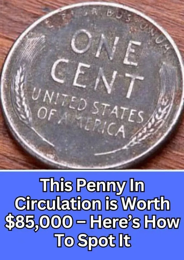 5. Here’s How To Spot It – This Penny In Circulation is Worth $85,000