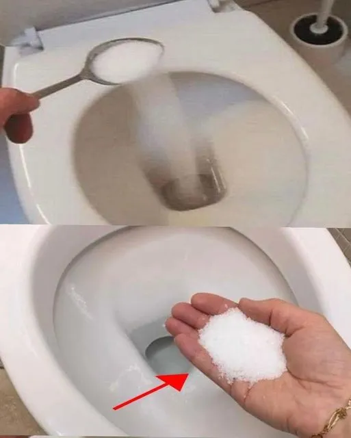 5. Put salt in the toilet