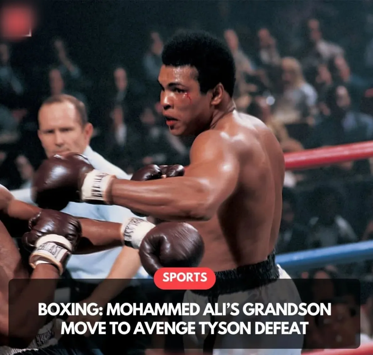 Boxing: Mohammed Ali’s Grandson Move To Avenge Tyson Defeat