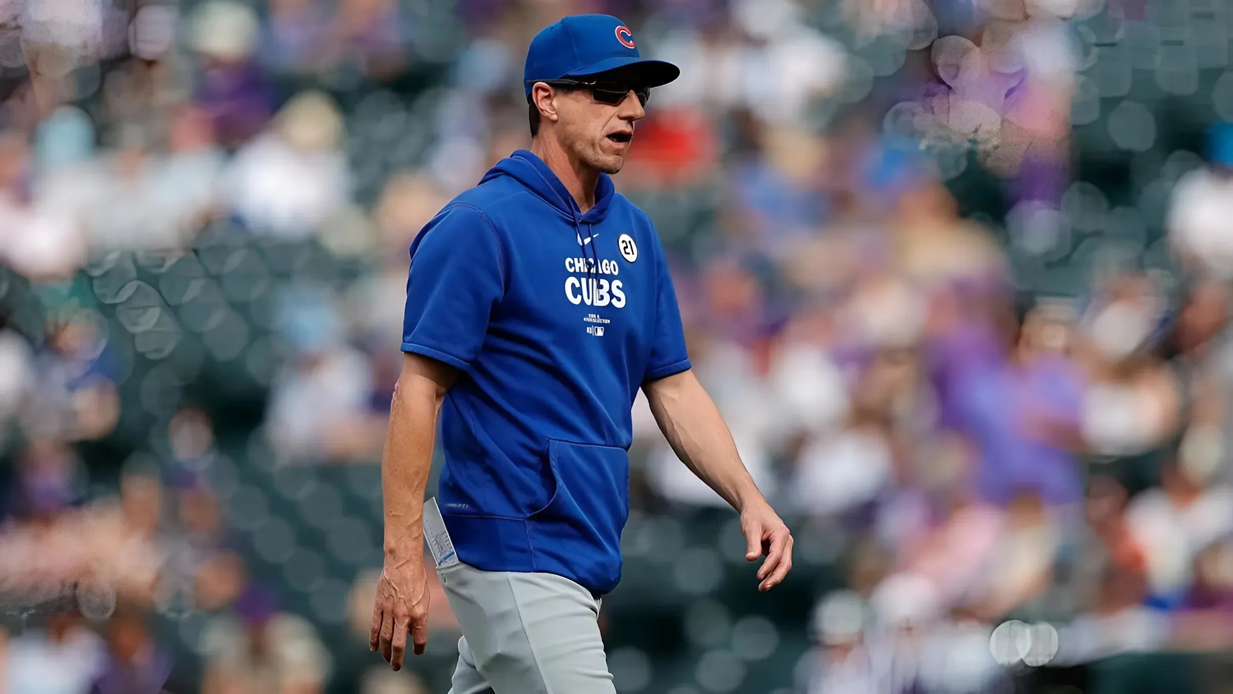 Chicago Cubs Expected To Only Spend Moderately on Free Agents This Offseason