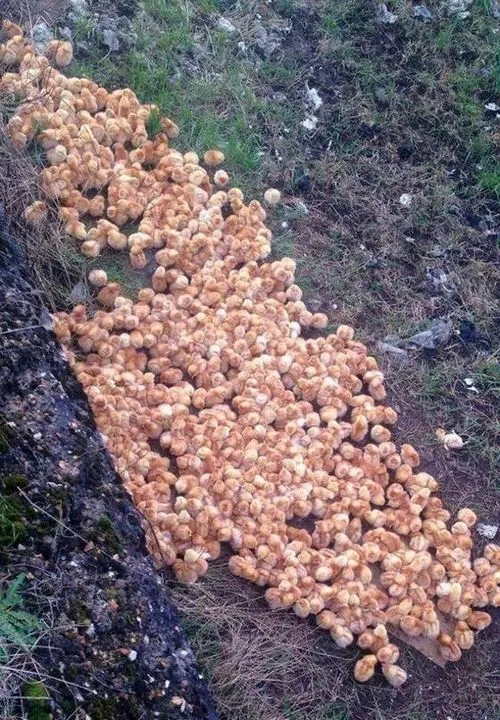 During a hike, a young man made a shocking discovery.