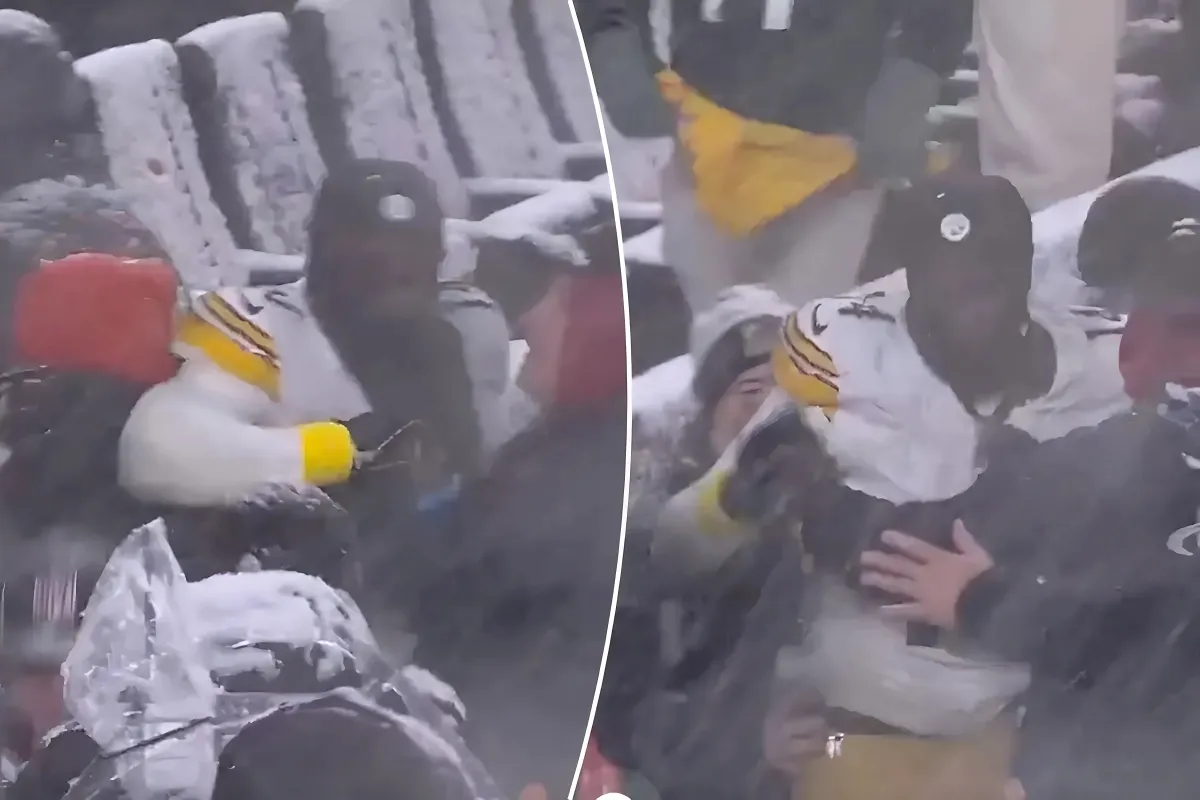 George Pickens fights Browns’ Greg Newsome in wild scrap to close out Steelers’ ‘TNF’ loss