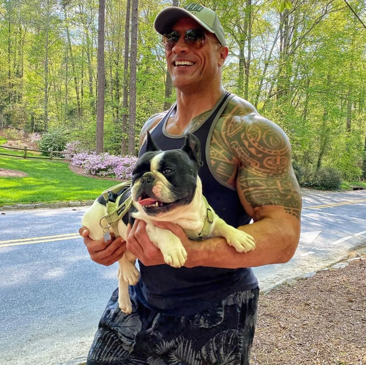 Dwɑyne Jøhnson (The Rock) declines WWE and announces his departure from the United States