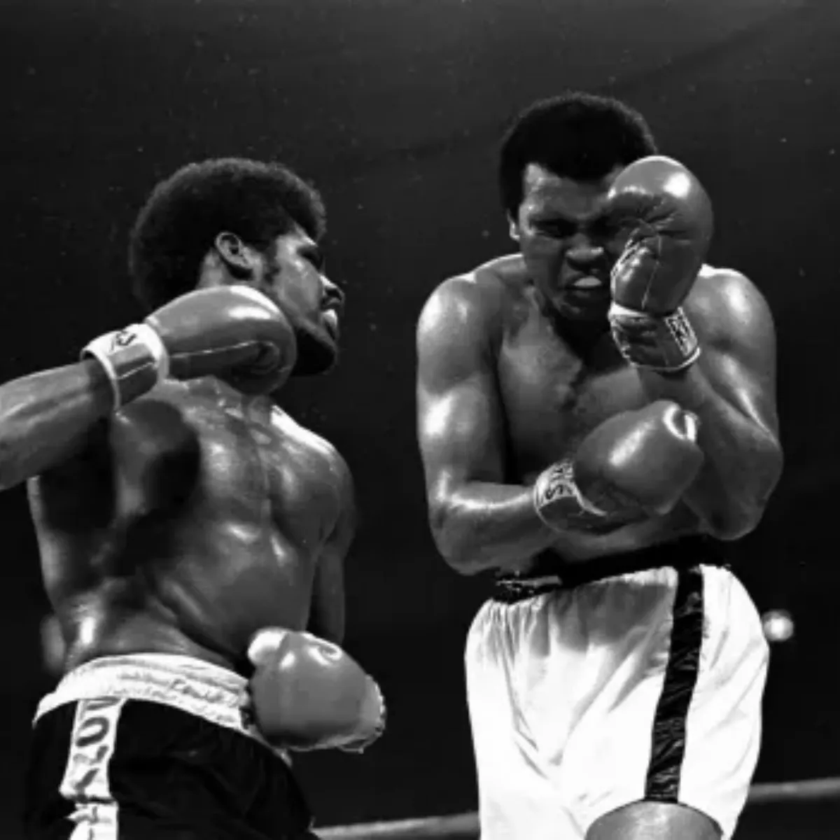 Can Morrell Beat David Benavidez? Muhammad Ali vs. Leon Spinks Used to Answer the Burning Question