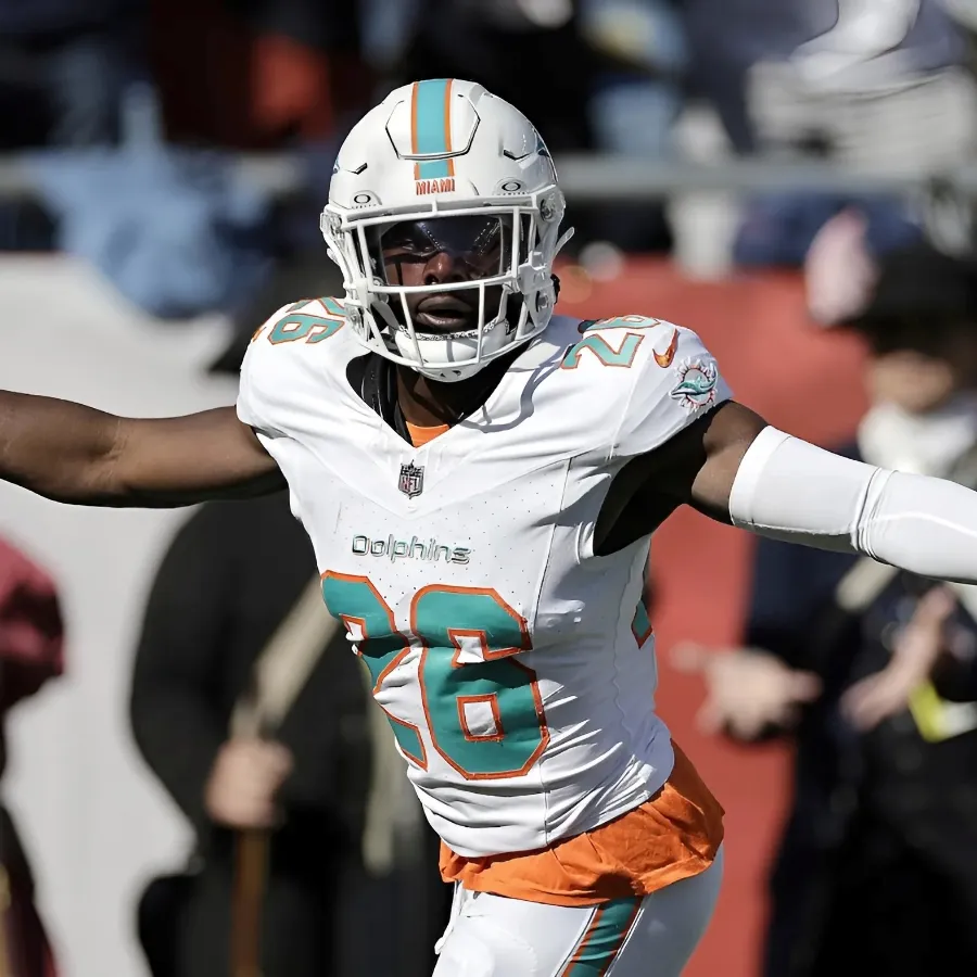 Dolphins Waive Veteran Starting Safety: Report