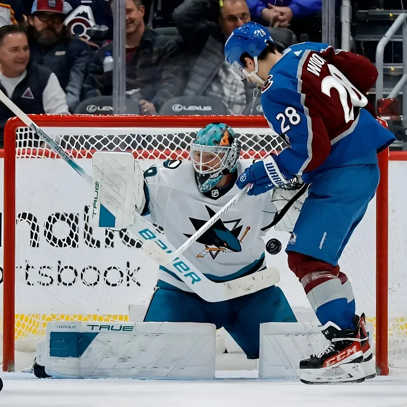 The Avalanche need goaltending help – and fast