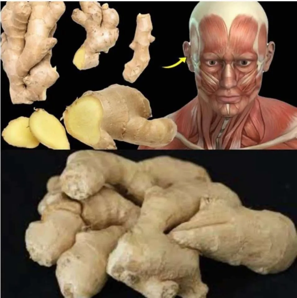 5. What Happens to Your Body with Daily Ginger