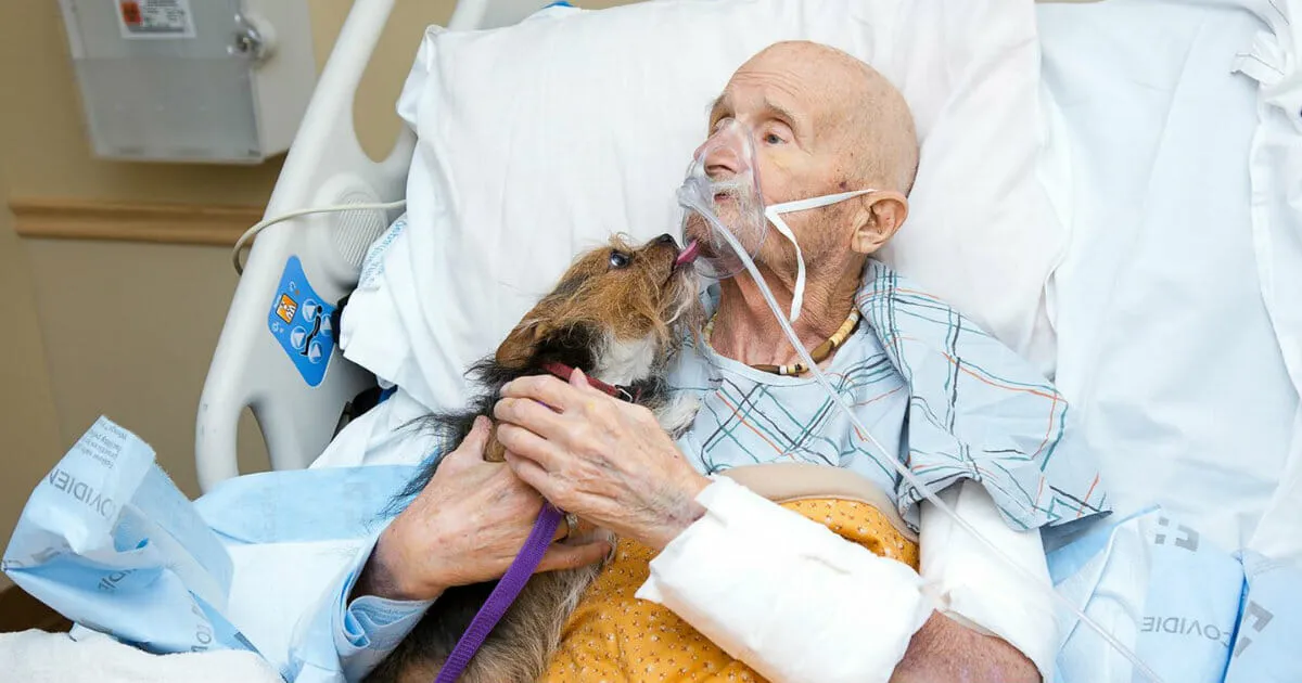 DG. Dying veteran in hospice gets his final wish: to see his dog one last time