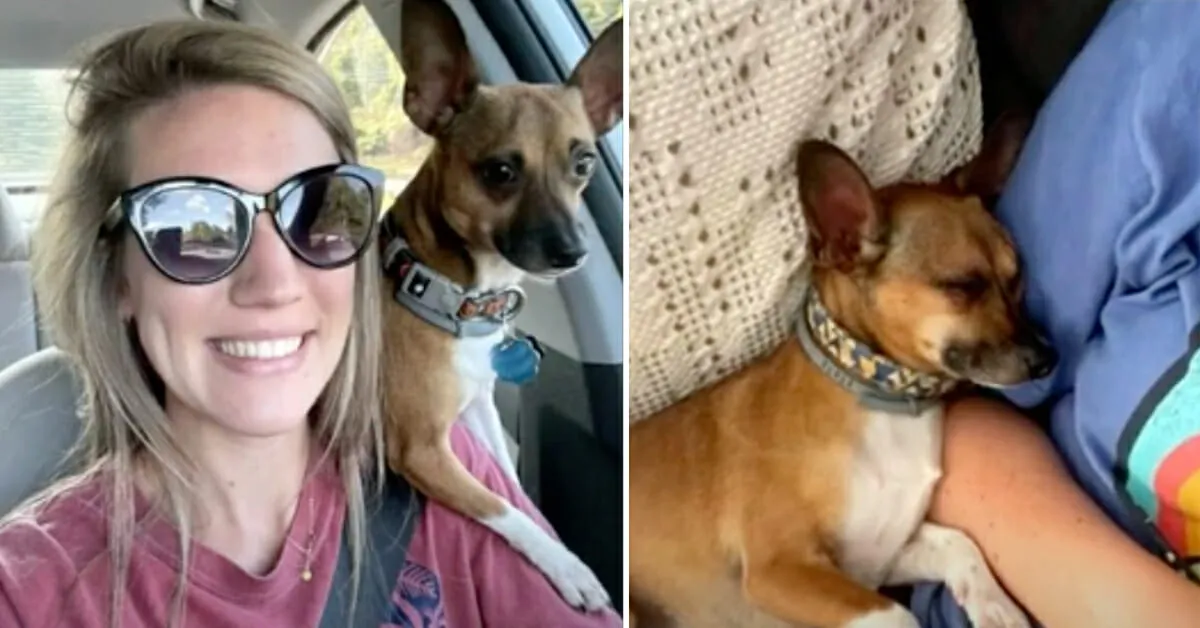 DG. Caring nurse adopts terminally ill patient's dog so he doesn't have to go to shelter