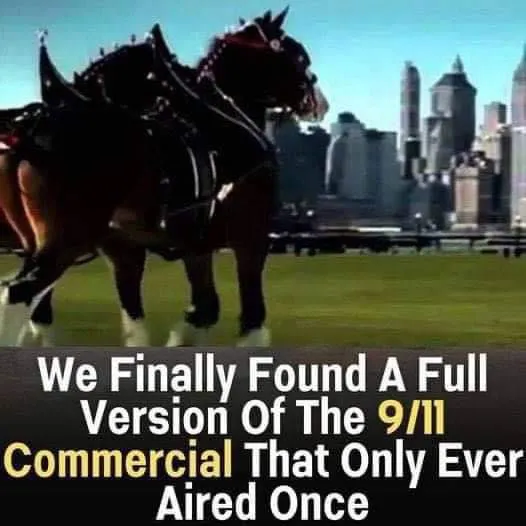 5. This touching 9/11 Budweiser commercial paying tribute to our nation only aired once