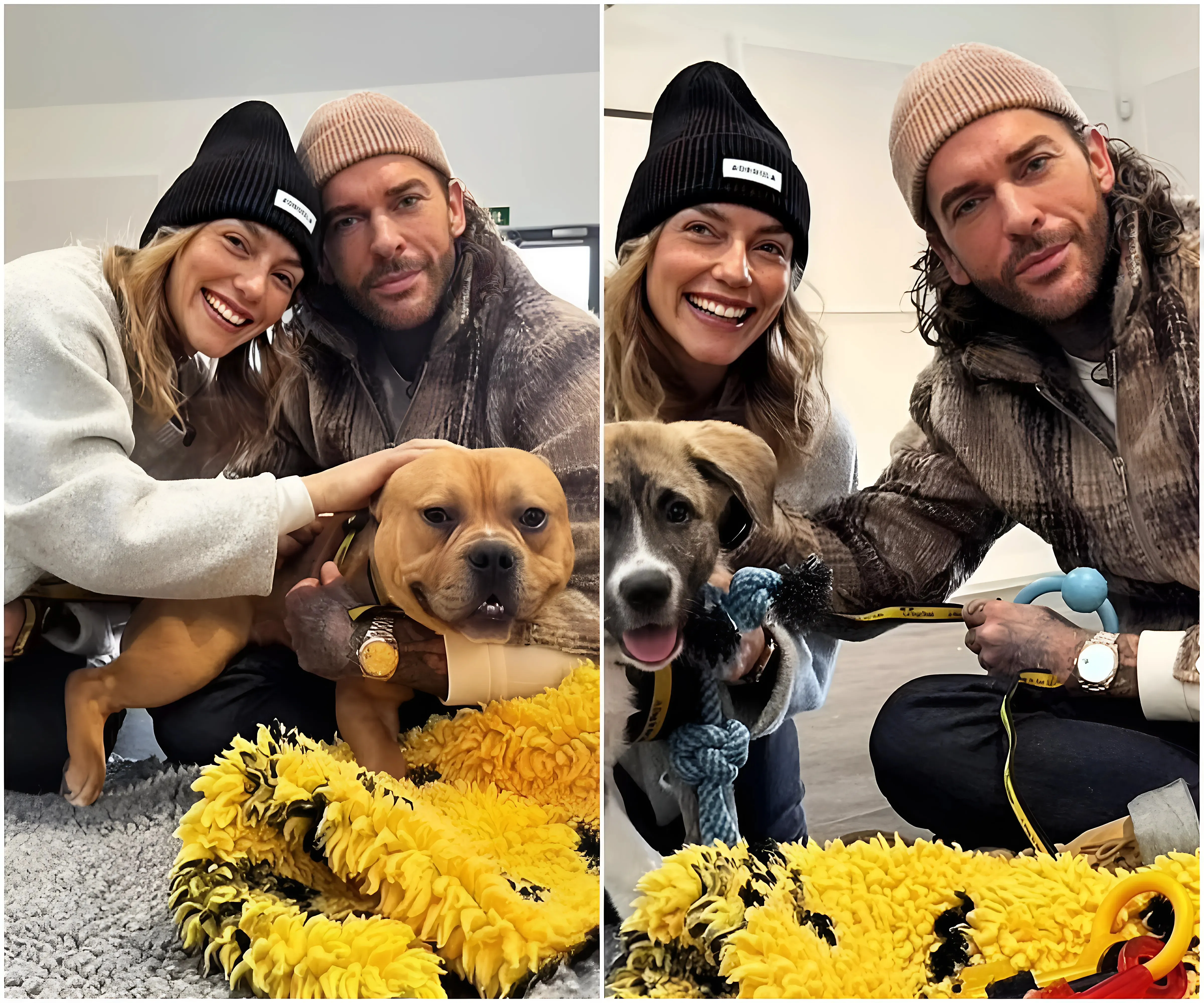 Strictly's Pete Wicks cosies up to dance partner Jowita Pryzstal as he takes her to meet puppies at a dogs home during 'beautiful' morning together - suong