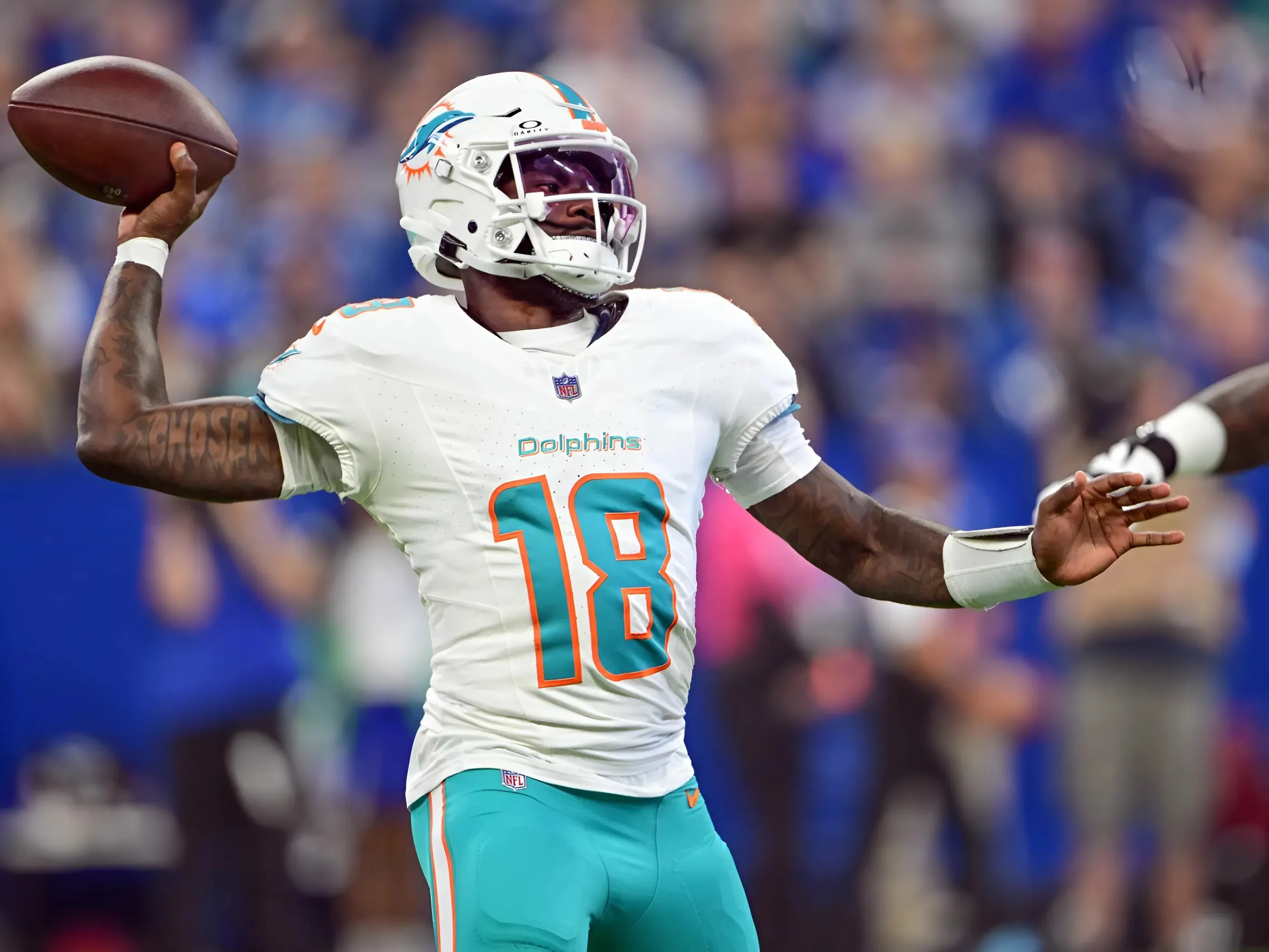 Dolphins get veteran QB back from injured reserve