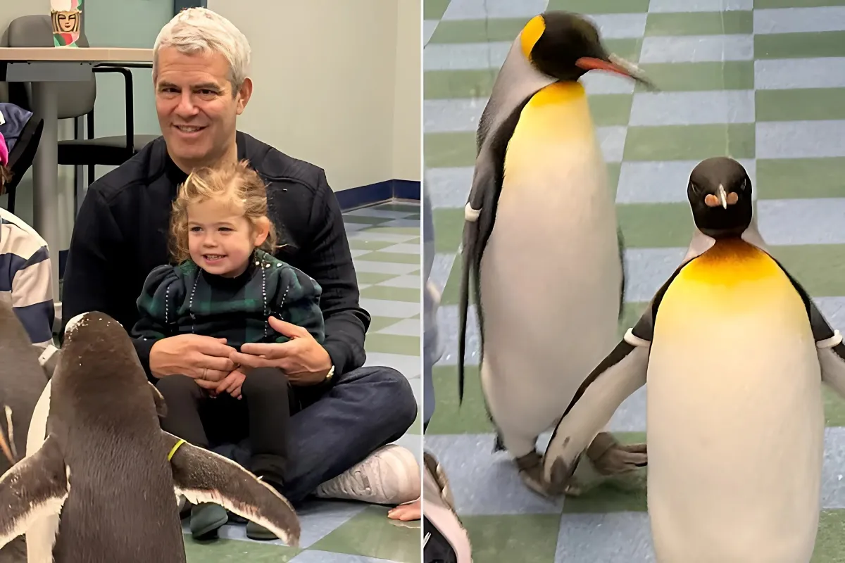 Andy Cohen and His Kids Visit Penguins at Zoo During Thanksgiving Trip to St. Louis - lulu