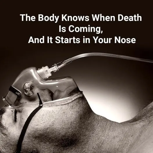 5. The Body Knows When De.a.th is Near, and It Begins in Your Nose