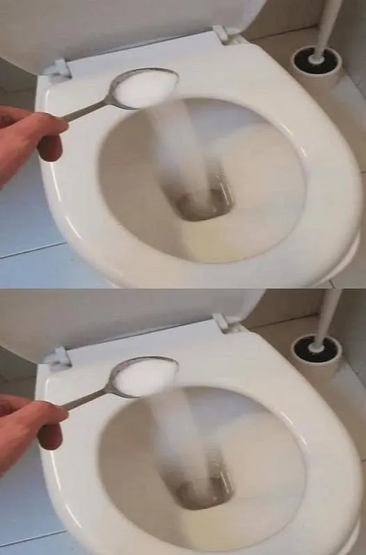 The Hidden Weapon of the Toilet: Table SaltI’m