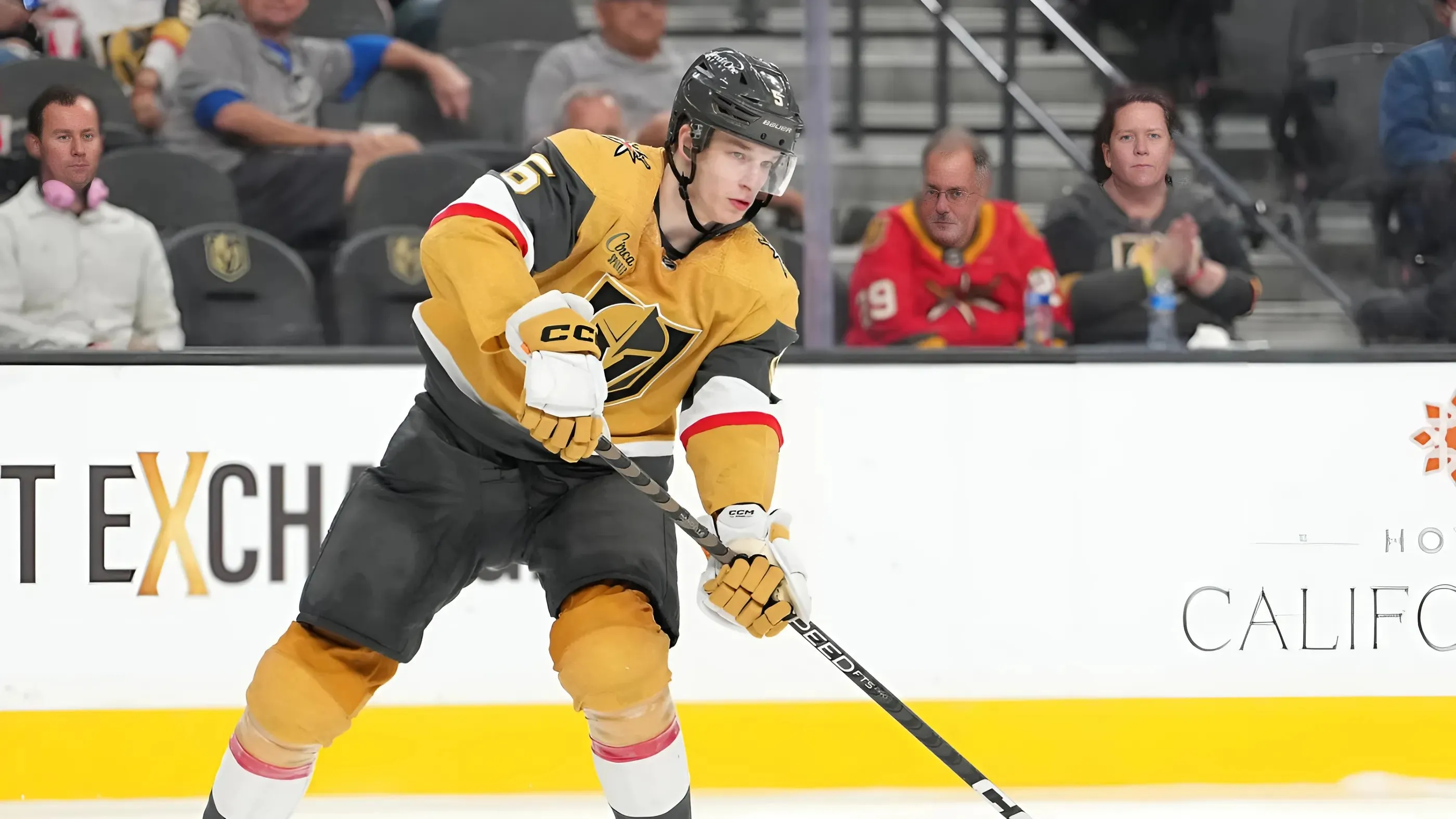 Golden Knights place D-man Daniil Chayka on unconditional waivers