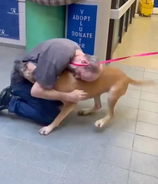 DG. Man had to give up his beloved dog while battling cancer — 2 years later, miracle reunites them