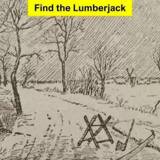 “Optical Illusion Challenge”: Find Lumberjack in 6 Seconds!