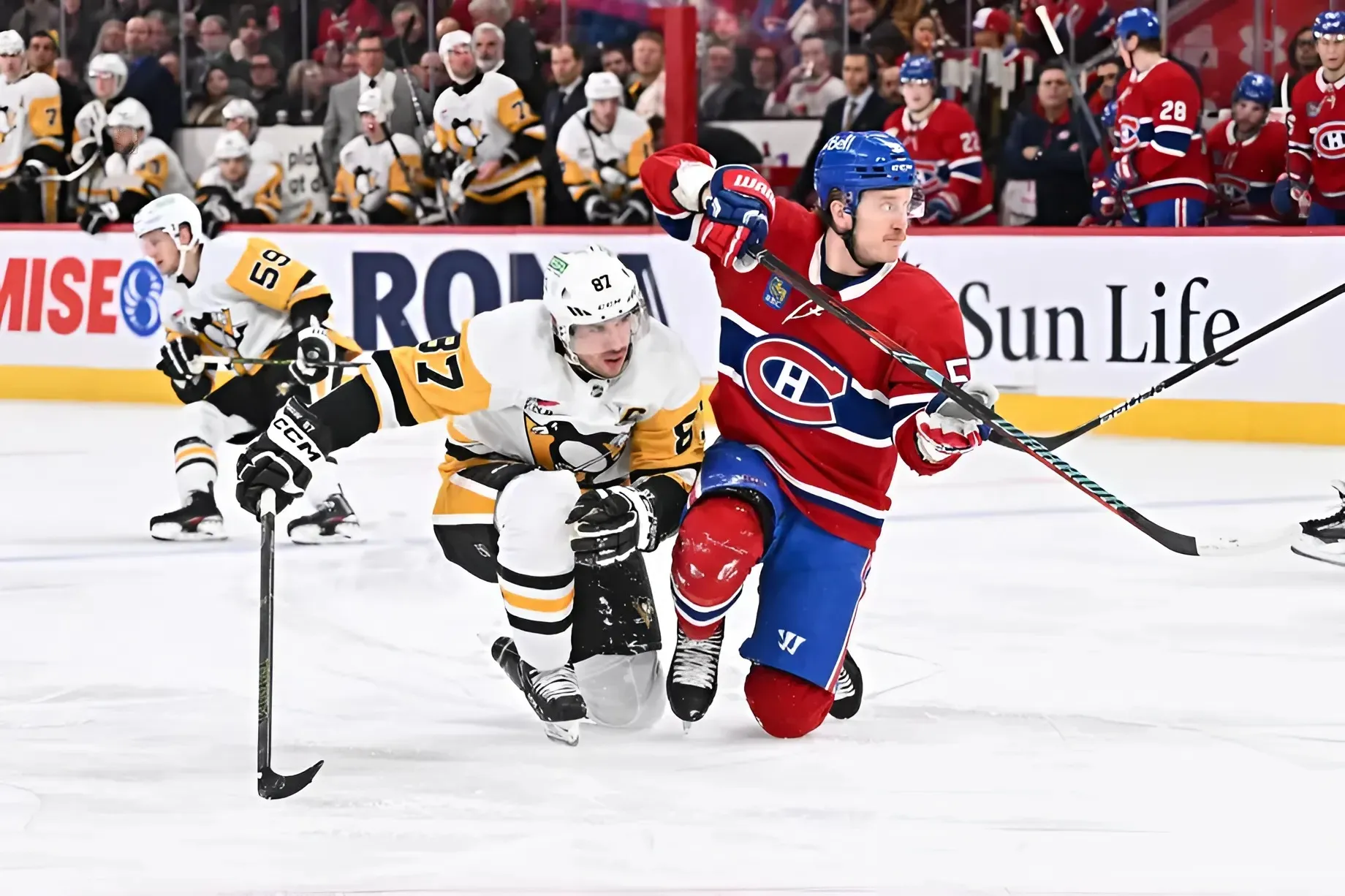 Game Preview: Pittsburgh Penguins at Montreal Canadiens 12/12/2024