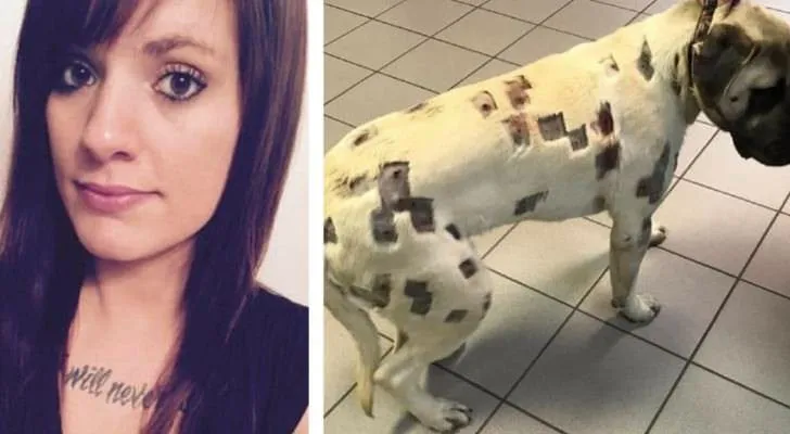 9. Horrified woman finds dog covered in odd marks, rushes to vet for answers