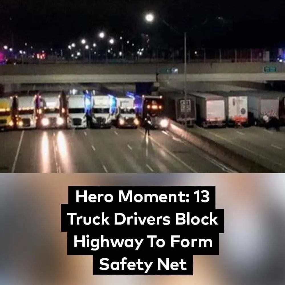 5. No one knows why 13 trucks are blocking the highway, when the truth is revealed, tears flow