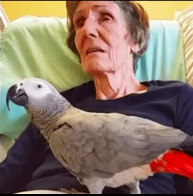 9. Dying woman says final goodbye to her parrot: The bird’s instant reaction leaves us in tears