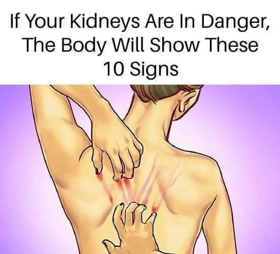 5. Warning Signs Your Kidneys Are in Danger – What to Watch For