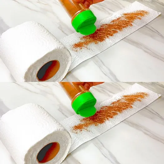 Transform Your Bathroom with Cinnamon