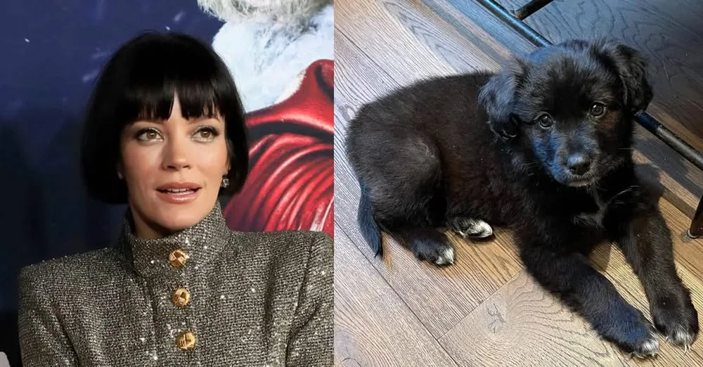 DG. Lily Allen receives backlash after revealing she gave up adopted dog: "It ate my passport, so I took her back to the home"