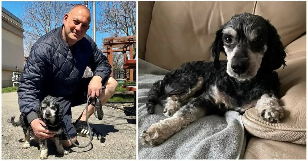 DG. Stray dog gets adopted by firefighter who rescued him — thank you