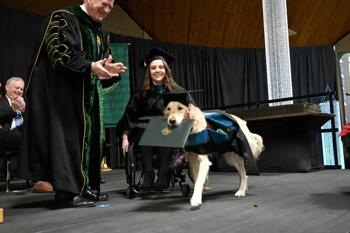 DG. Service dog got his owner through grad school, so the university gave him his own degree