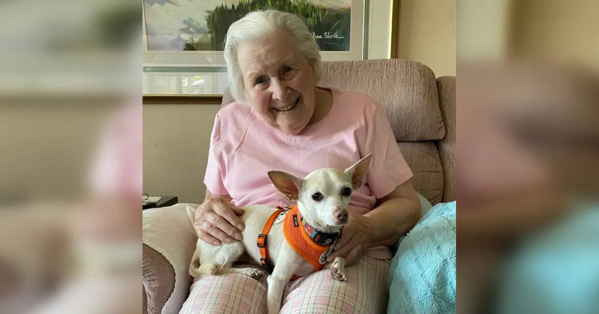 DG. 11-year-old senior dog gets adopted by 100-year-old woman