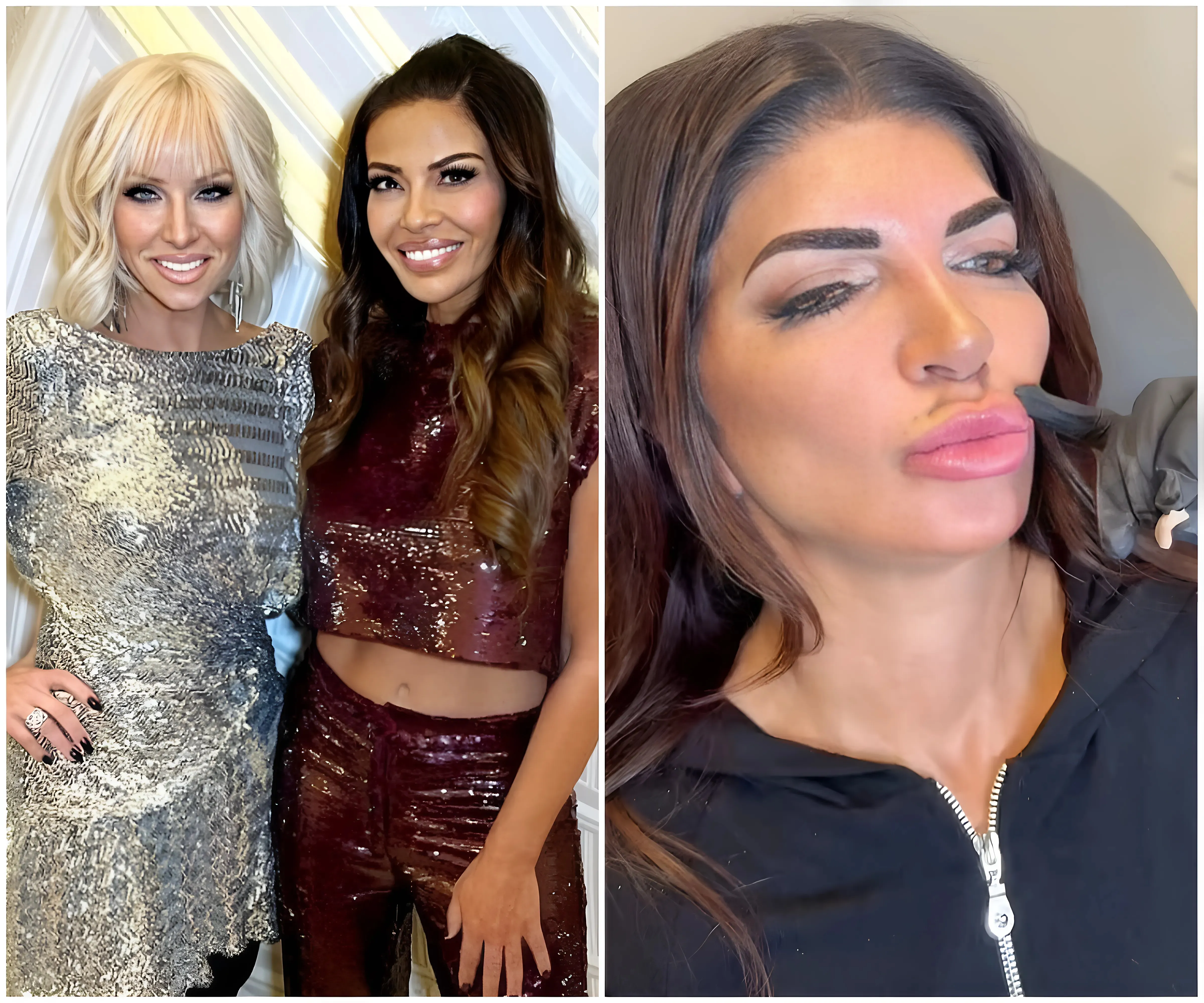 Teresa Giudice was ridiculed because her 'lips have their own postal code' – Margaret Josephs joked: 'Must need a whole checkpoint to get through!' and Dolores Catania added: 'Don't forget to declare customs!'