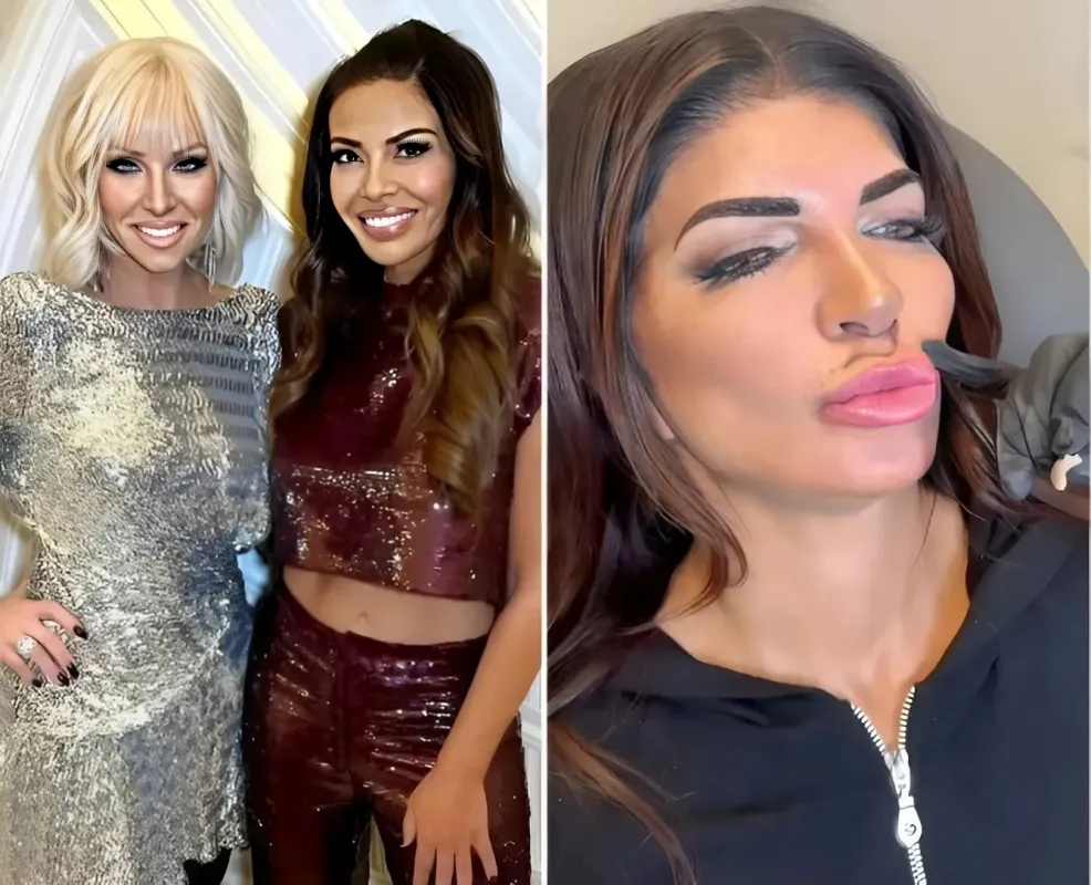 Teresa Giudice was ridiculed because her 'lips have their own postal code' – Margaret Josephs joked: 'Must need a whole checkpoint to get through!' and Dolores Catania added: 'Don't forget to declare customs!'