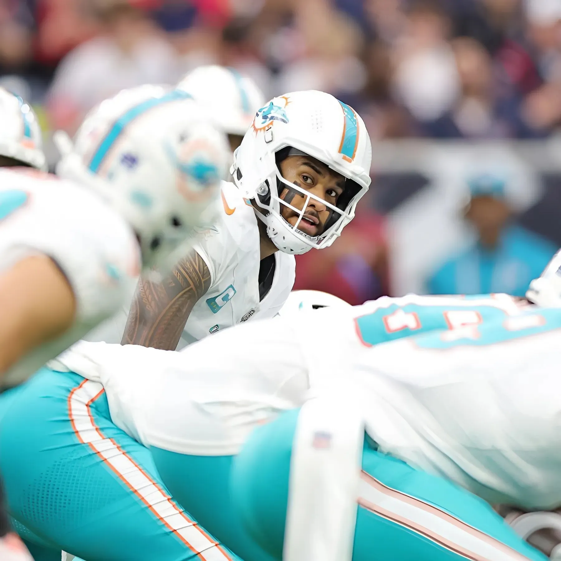 Miami Dolphins Week 16 fan confidence ranking, teams needs moving forward