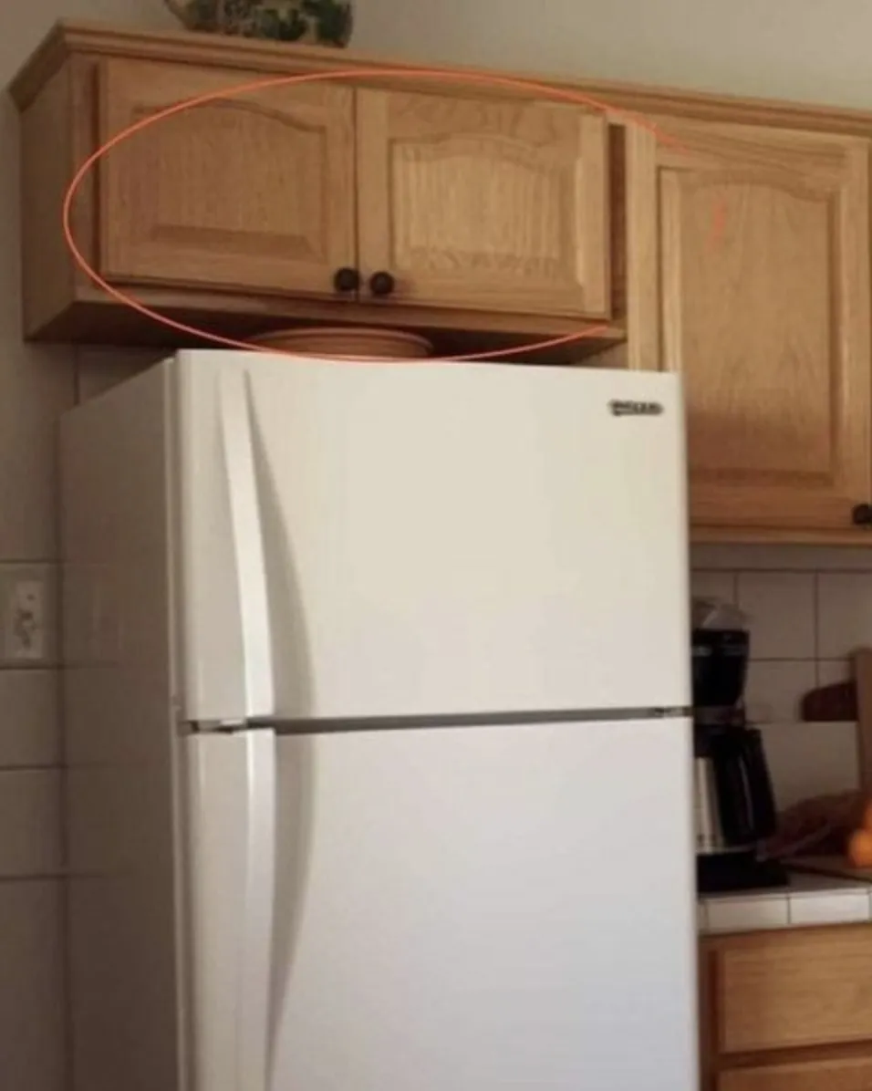 9. If you have these cupboards above your fridge, you had better know what they're used for