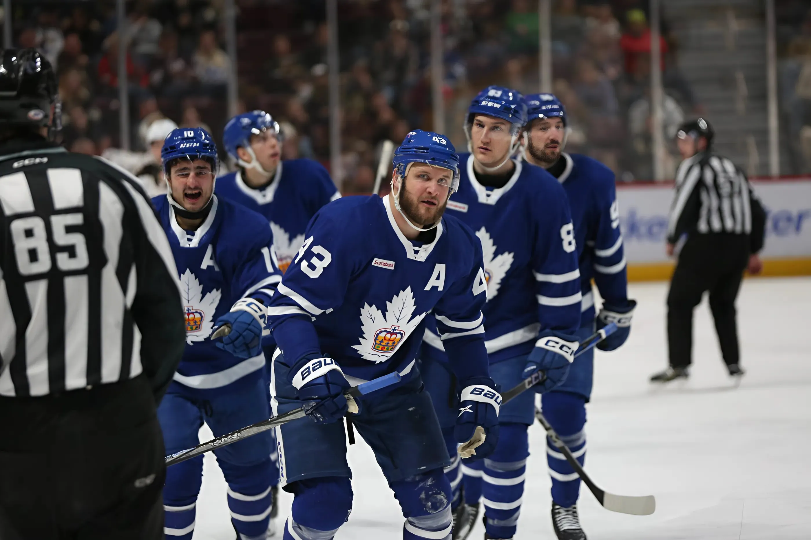 Kyle Clifford scores twice in his return, Toronto Marlies enter Christmas break on a high with excellent victory in Hershey Photo: Hershey Bears