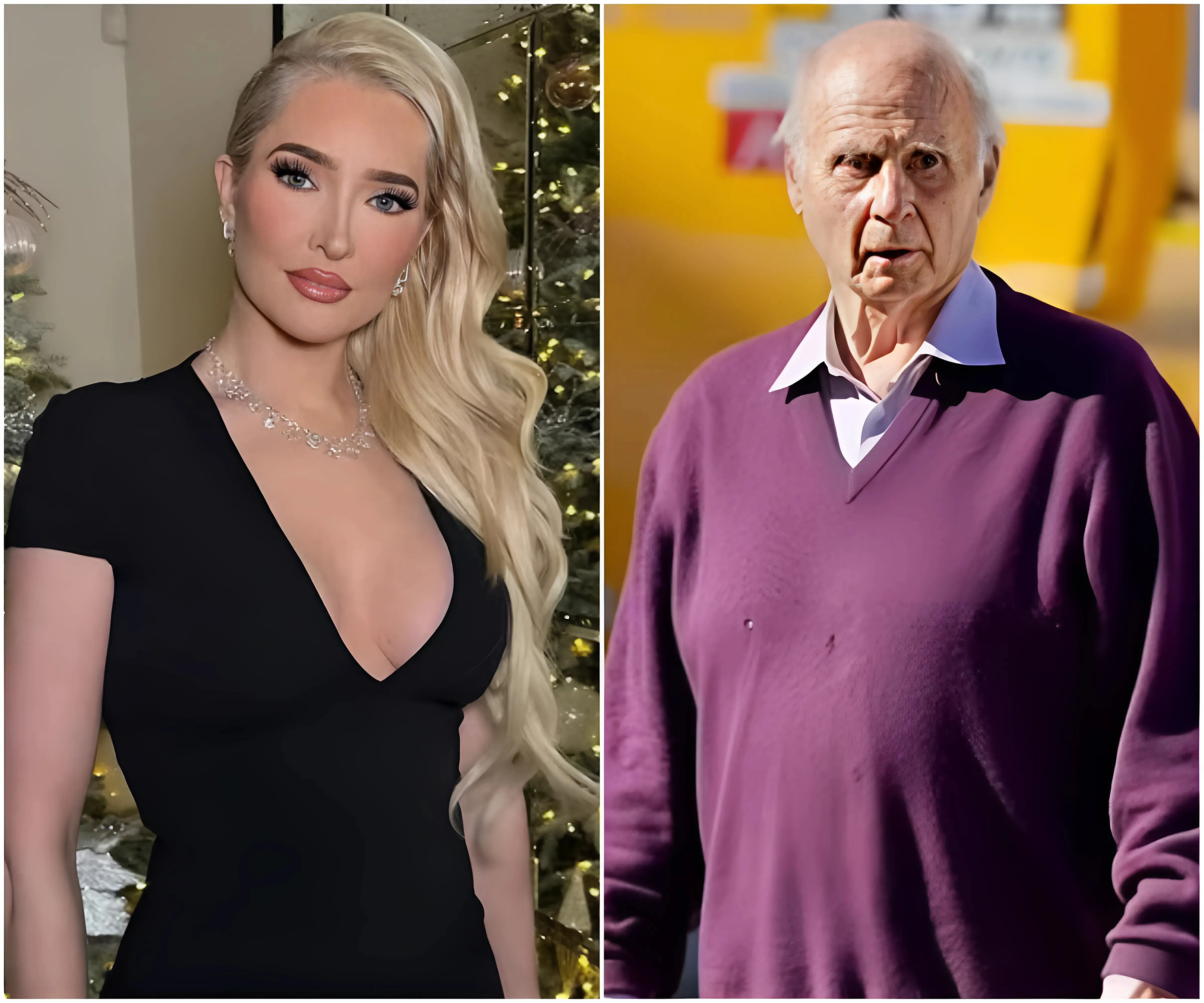 Erika Jayne Stirs Up the Internet as She Reveals the 'Special Person' in Her Life for the First Time After Her Turbulent Split with Tom Girardi - suong