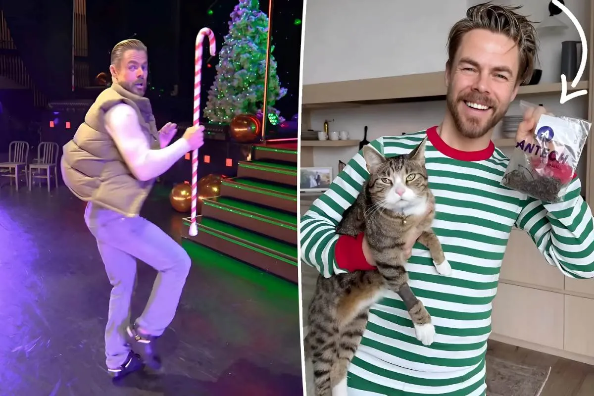 Derek Hough's drops $8K on massive vet bill for his cat's Christmas health scare tram